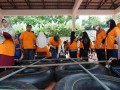Tn DSC 6545